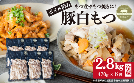 豚白もつ 約2.8kg (約470g×6袋) ボイル済み[ もつ煮 もつ焼き もつ鍋 白もつ ]