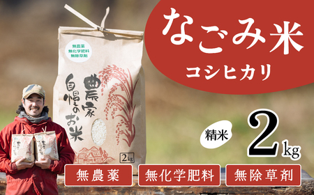 [10月発送]茨城県下妻市産 なごみ米 ( コシヒカリ ) 精米 2kg [ お米 コシヒカリ 米 無農薬 無化学肥料 無除草剤 精米 ブランド米 茨城県産 ]