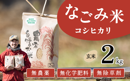 [10月発送]茨城県下妻市産 なごみ米 ( コシヒカリ ) 玄米 2kg [ お米 コシヒカリ 米 無農薬 無化学肥料 無除草剤 玄米 ブランド米 茨城県産 ]