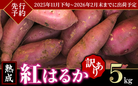 [ 先行予約 ][ 訳あり ] 茨城県産 熟成さつまいも 「 紅はるか 」 5kg [ 2025年11月下旬頃〜2026年2月末までに出荷 ][ さつまいも 紅はるか 芋 サツマイモ 甘い 焼き芋 スイートポテト 茨城県産 大容量 不揃い ねっとり ]