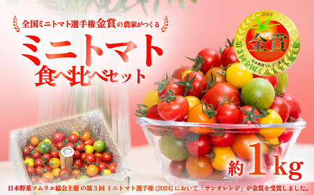ミニトマト 食べ比べセット 1kg ミニトマト ミニトマト ミニトマト ミニトマト ミニトマト