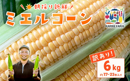 【訳あり】下妻産朝採りとうもろこし（ミエルコーン）約6kg【とうもろこし とうきび トウモロコシ ジューシー 甘い 蜂蜜 はちみつ ミエル Miel スイーツ デザート ミエルコーン 人気 野菜 新鮮 おすすめ スイートコーン】
