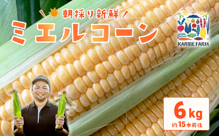 とうもろこし 先行予約 R8 下妻産 朝採り ミエルコーン 約6kg