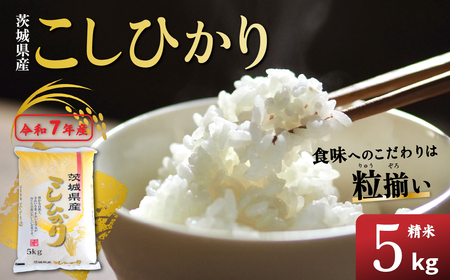 米 コシヒカリ 5kg 精米 茨城県下妻市産