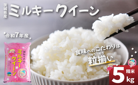 米 ミルキークイーン 5kg 精米 茨城県下妻市産