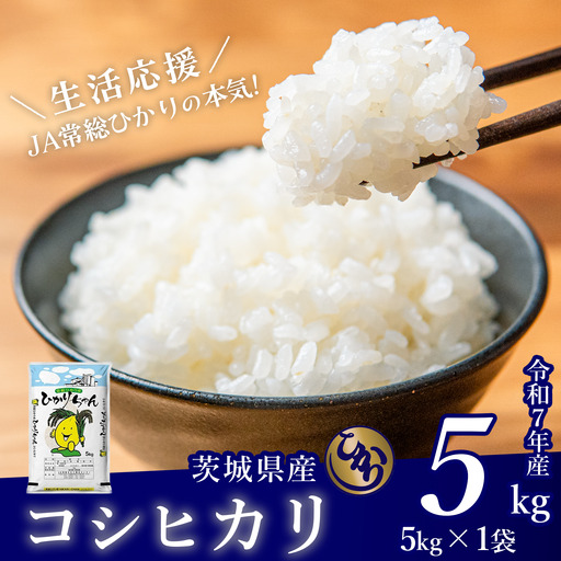 米 精米 R7年産 コシヒカリ 5kg 7月