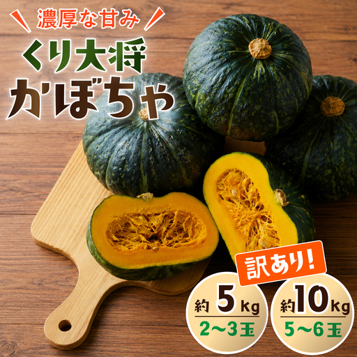 [訳あり]かぼちゃ くり大将 カボチャ 約5kg (2〜3玉)