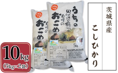 茨城県産こしひかり10kg(5kg×2袋)2週間以内発送[ 米 こしひかり 米 茨城 米 茨城県産 米 産地直送 米 特別栽培米 JA おにぎり お弁当 精米 ストック お米 もちもち 人気 おすすめ コメ コメ 米 ]