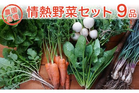 農園自慢の情熱野菜セット(9品)[野菜 野菜セット おすすめ 詰め合わせ 野菜詰め合わせ]