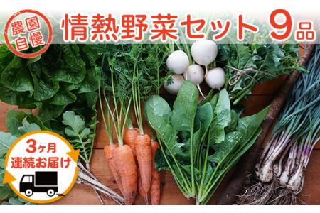 [3ヶ月連続お届け]農園自慢の情熱野菜セット(9品)[野菜 野菜セット おすすめ 詰め合わせ 定期 定期便 野菜詰め合わせ]