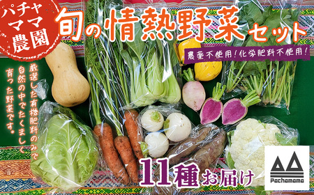 農園自慢の情熱野菜セット(11品)[ 野菜 野菜セット おすすめ 詰め合わせ 野菜詰め合わせ 野菜 無農薬 野菜 ヤサイ ]