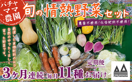 [3ヶ月連続お届け]農園自慢の情熱野菜セット(11品)[ 野菜 野菜セット おすすめ 詰め合わせ 定期 定期便 野菜詰め合わせ 野菜 無農薬 野菜 ヤサイ ]