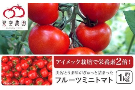 フルーツミニトマト1kg[ とまと フルーツトマト ミニトマト 野菜トマト 人気トマト リコピントマト ]