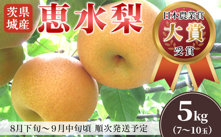 [全国梨選手権 最高金賞受賞]茨城県産「恵水」梨5kg[2025年8月下旬〜9月中旬にかけて発送予定][ 梨 なし ナシ 茨城県梨 下妻梨 人気梨 果物梨 フルーツ梨 果物 フルーツ ]