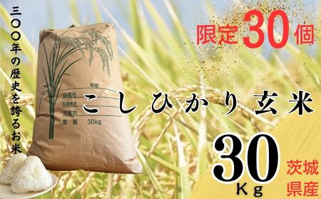 yߘa7NYz30u300N̂āv錧YRVqJ30kg  | h{  Ђ   ނ ɂ  푍
