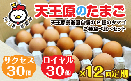 12回定期 [天王原のたまご] サクセス卵30個/ロイヤル卵30個