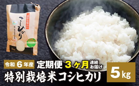 [定期便]3ヶ月お届け 令和六年産特別栽培米 コシヒカリ 5kg