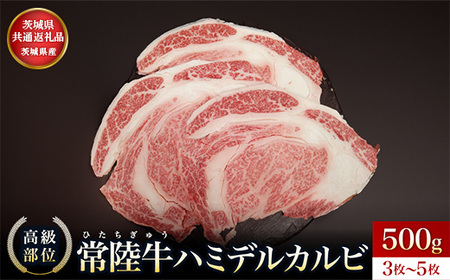 【茨城県共通返礼品】茨城県産 ハミデルカルビ500g | カルビ かるび カブリ 部位 ゲタ 中落カルビ リブ芯 リブ巻き 希少部位 高級部位 リブロース 牛肉 牛 大きい とろける 甘み はみでる 食卓 バーベキュー BBQ パーティー】