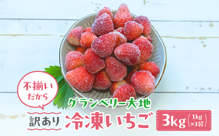 [訳あり]冷凍いちご 3kg (1kg×3袋)