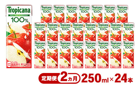 [定期便2ヶ月]トロピカーナ 100% アップル 250ml LLスリム×24本 ※離島への配送不可