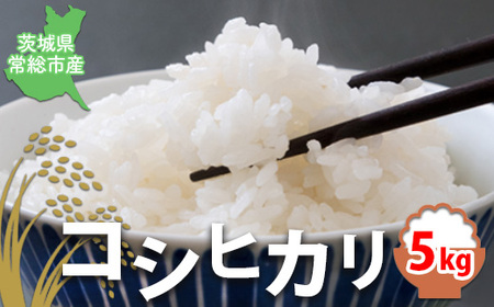 [令和7年産][無洗米]コシヒカリ5kg 茨城県常総市産 精米|米 お米 白米 ご飯 コメ こめ こしひかり