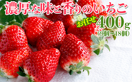 濃厚な味と香りのいちご お任せ400g(9個〜18個)