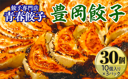 餃子専門店青春餃子 豊岡餃子10個入り×3パック 30個