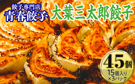 餃子専門店青春餃子 大葉三太郎餃子15個入り×3パック 45個