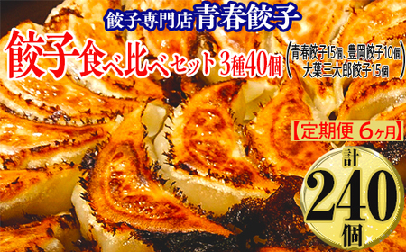 【定期便6ヶ月】餃子専門店青春餃子 餃子食べ比べセット 3種40個（青春餃子15個、豊岡餃子10個、大葉三太郎餃子15個）（計240個）