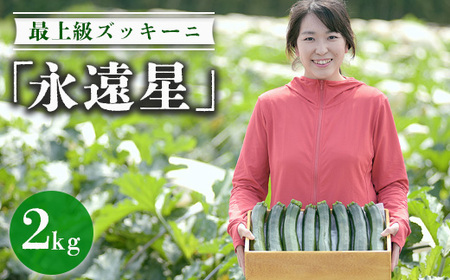 最上級ズッキーニ「永遠星」 ※2026年5月上旬〜6月下旬頃に順次発送予定