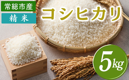 令和7年産 精米 コシヒカリ 5kg 茨城県常総市産