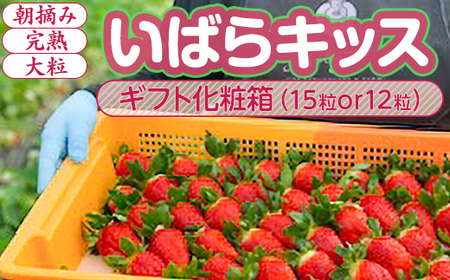 �y1�����{�`4����{�����z���΂�L�b�X ������ ���E�� ���n �嗱 �M�t�g���ϔ� 15��or12�� ��錧�푍�s�Y | � �C�`�S ��2026�N1�����{�`4����{���ɏ��������\��