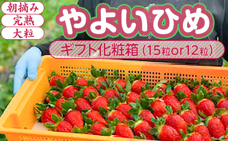 �y1�����{�`4����{�����z��悢�Ђ� ������ ���E�� ���n �嗱 �M�t�g���ϔ� 15��or12�� ��錧�푍�s�Y | � �C�`�S ��2026�N1�����{�`4����{���ɏ��������\��