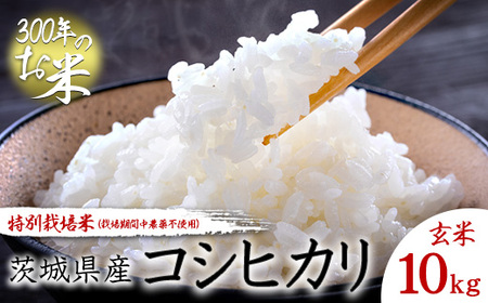 [令和7年産][300年のお米]特別栽培米(栽培期間中農薬不使用)茨城県産コシヒカリ 玄米 10kg お中元 お歳暮 内祝い 快気祝い