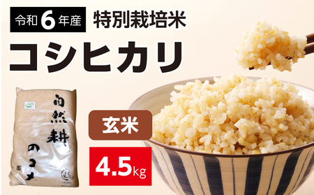 令和六年産特別栽培米コシヒカリ4.5kg 玄米