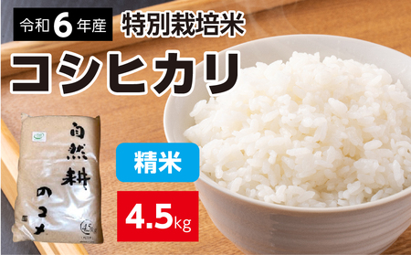 令和六年産特別栽培米コシヒカリ4.5kg 精米