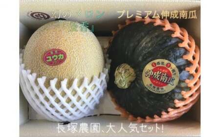 [先行予約]令和7年 プレミアム伸成かぼちゃ・優香メロン | カボチャ パンプキン めろん 常総市 果物 フルーツ ※2025年6月中旬〜6月下旬頃に順次発送予定 ※沖縄・離島への配送不可