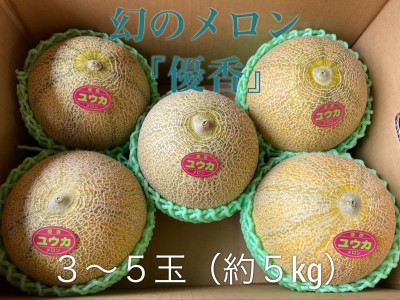 [先行予約]令和7年 優香メロン 3〜5玉(約5kg)甘くてジューシーなメロン 幻の優香です! 中々市場では出回らない稀少な品種です♪ めろん 常総市 フルーツ 果物 ※2025年6月中旬〜6月下旬頃に順次発送予定 ※沖縄・離島への配送不可