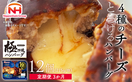 極み焼きハンバーグ(4種のチーズソース)セット定期便3か月 定期便