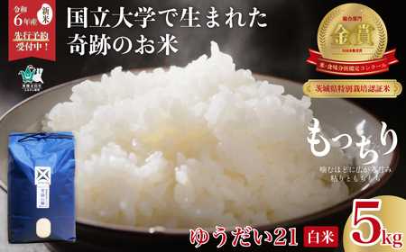 [令和6年産 新米]2週間以内発送 品評会を席巻した奇跡のお米 ゆうだい21 こしひかり 常陸の瞳 白米5kg [茨城県 常陸太田市 ゆうだい21 宇都宮大学 コシヒカリ GAP認証 森 ミネラル 水 山田川 安全 安心 美味しい 米 農家 産直 直送]