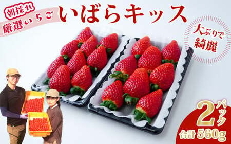  l߃fbNX ΂LbX 280g×2pbN 1