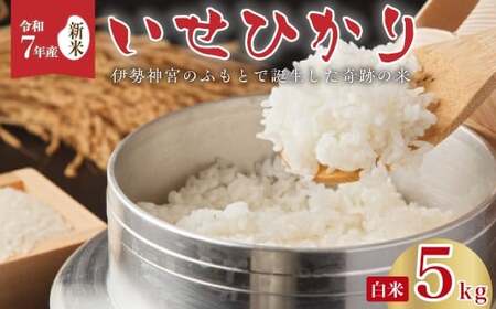 [令和7年産 新米 ]いせひかり 精米 5kg 新米