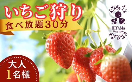 いちご狩り 食べ放題30分 大人1名様[いちご狩り 苺 フルーツ狩り イチゴ狩り 食べ放題 贅沢いちご狩り [いちご 苺 いちご食べ比べ 大粒いちご いちご フルーツいちご苺 厳選いちご 土耕いちご苺 イチゴ 苺 ]