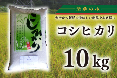 [新米先行予約 ][令和6年産]コシヒカリ 10kg[新米 有機栽培 安心 美味しい おにぎり 20000円以下](BD003-1)