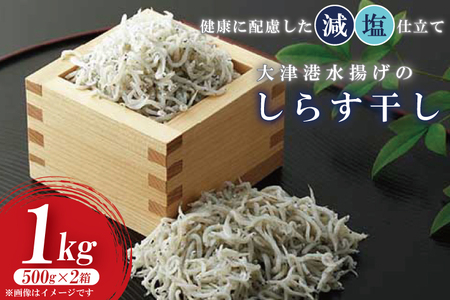 甘塩 天然紅鮭切身 10切れ 自社で切身加工品