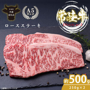 最高級A4.A5ランク 常陸牛ロースステーキ500g(250g×2)[人気肉 お肉 牛肉 和牛 黒毛和牛 国産黒毛和牛 ロース肉 ステーキ 国産牛 焼肉 焼き肉 バーベキュー BBQ A5 ブランド牛]