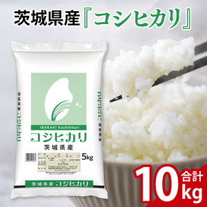 令和6年産 茨城県産 コシヒカリ10kg(5kg×2袋)[お米 米 コメ こめ こしひかり 25000円以内]