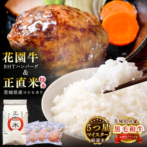 ĂBHTno[Oy   no[O   ґ Ⓚ 錧 ksz(BY003)