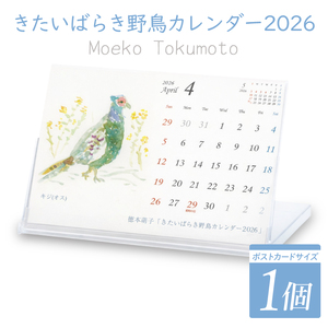 [数量限定][徳本萌子]きたいばらき 野鳥カレンダー(2026年4月はじまり)[ポストカード 卓上 絵 水彩画 風景画 渡り鳥 自然 インテリア 北茨城市 茨城県]