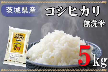 無洗米!茨城県産コシヒカリ5kg!令和5年産米!